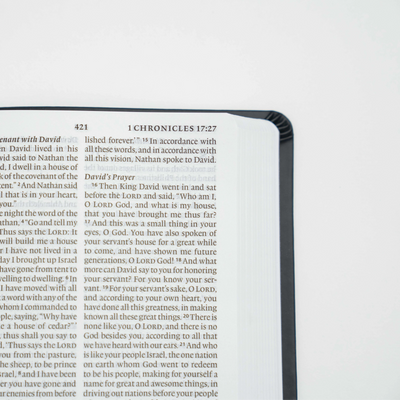 Protestant Bible