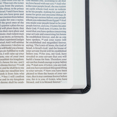 Protestant Bible