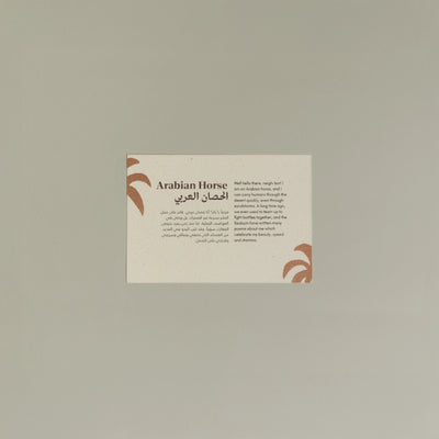 Animals Postcards