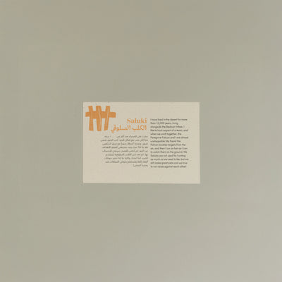 Animals Postcards