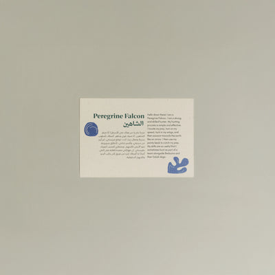 Animals Postcards