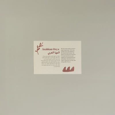 Animals Postcards