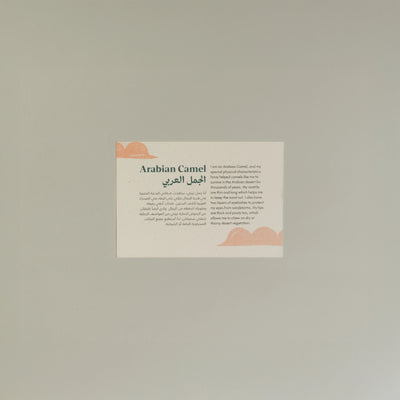 Animals Postcards