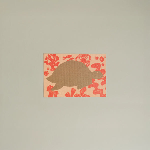 Animals Postcards