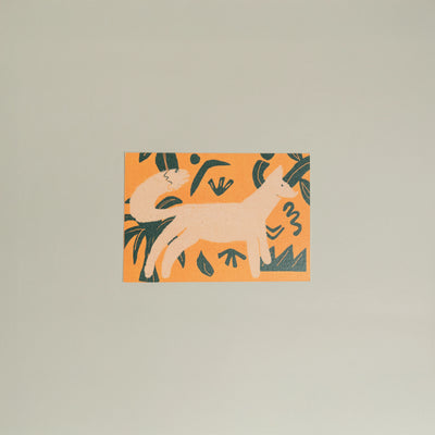 Animals Postcards