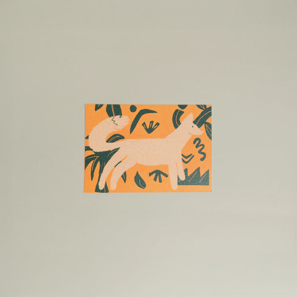 Animals Postcards