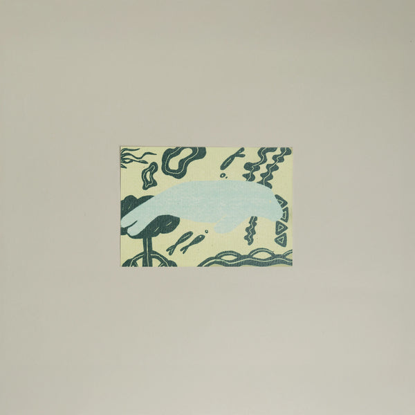 Animals Postcards