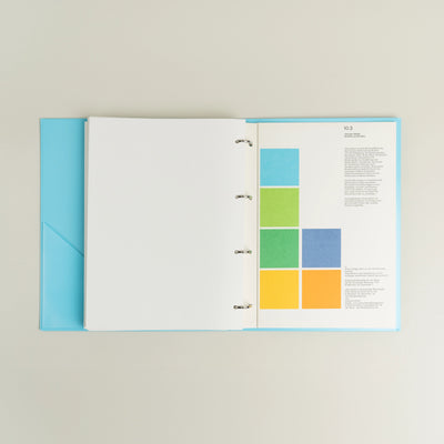 Guidelines and Standards for Visual Design