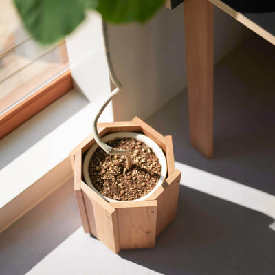 Stave Planter