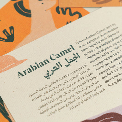 Animals Postcards