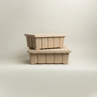 Pulp Box