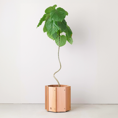 Stave Planter