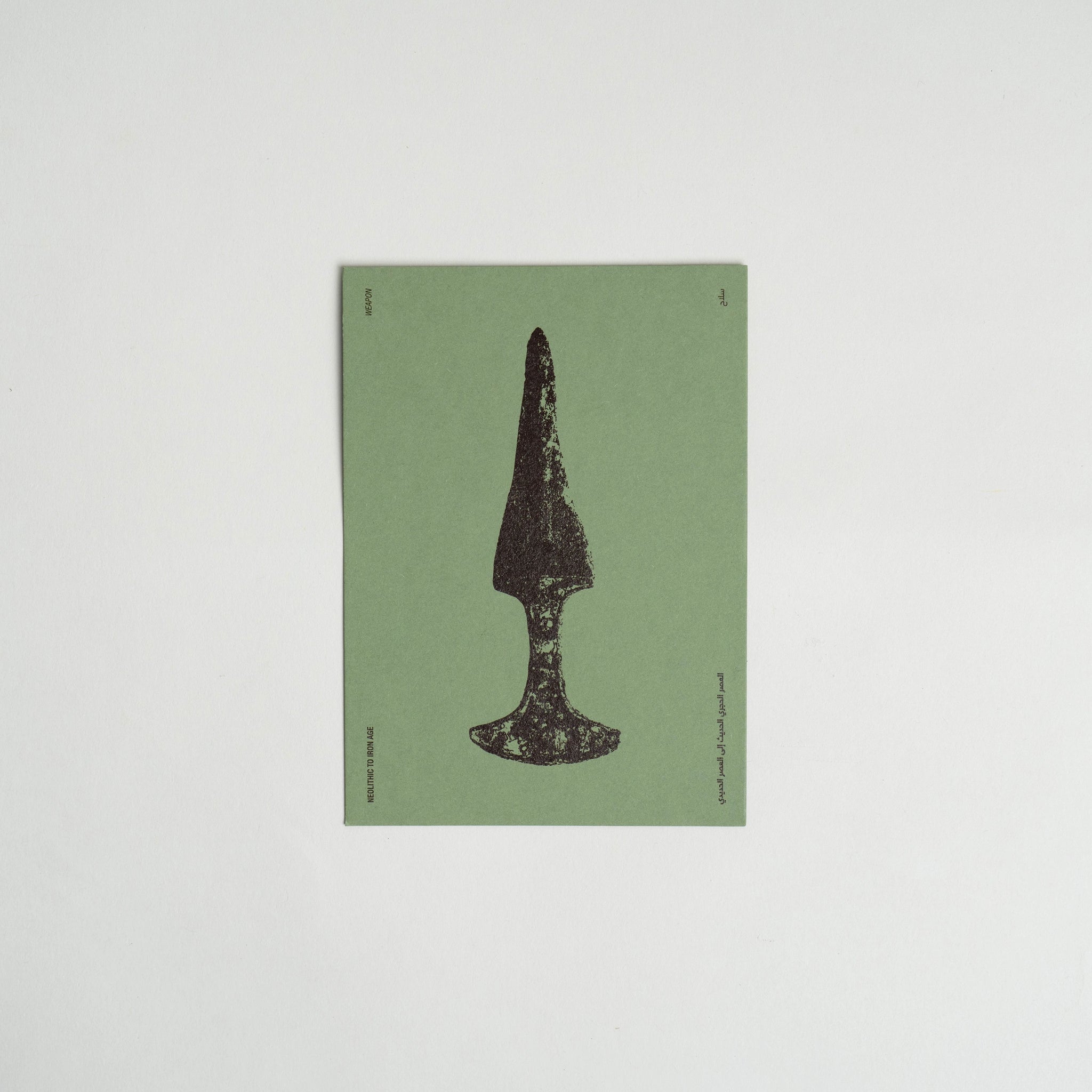 AAM Illustration Postcard