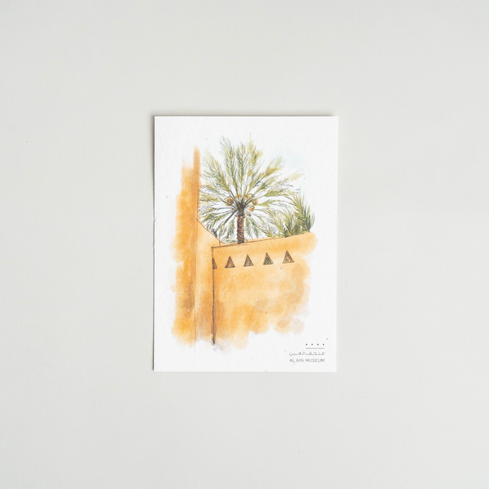 AAM Seed Paper Postcard