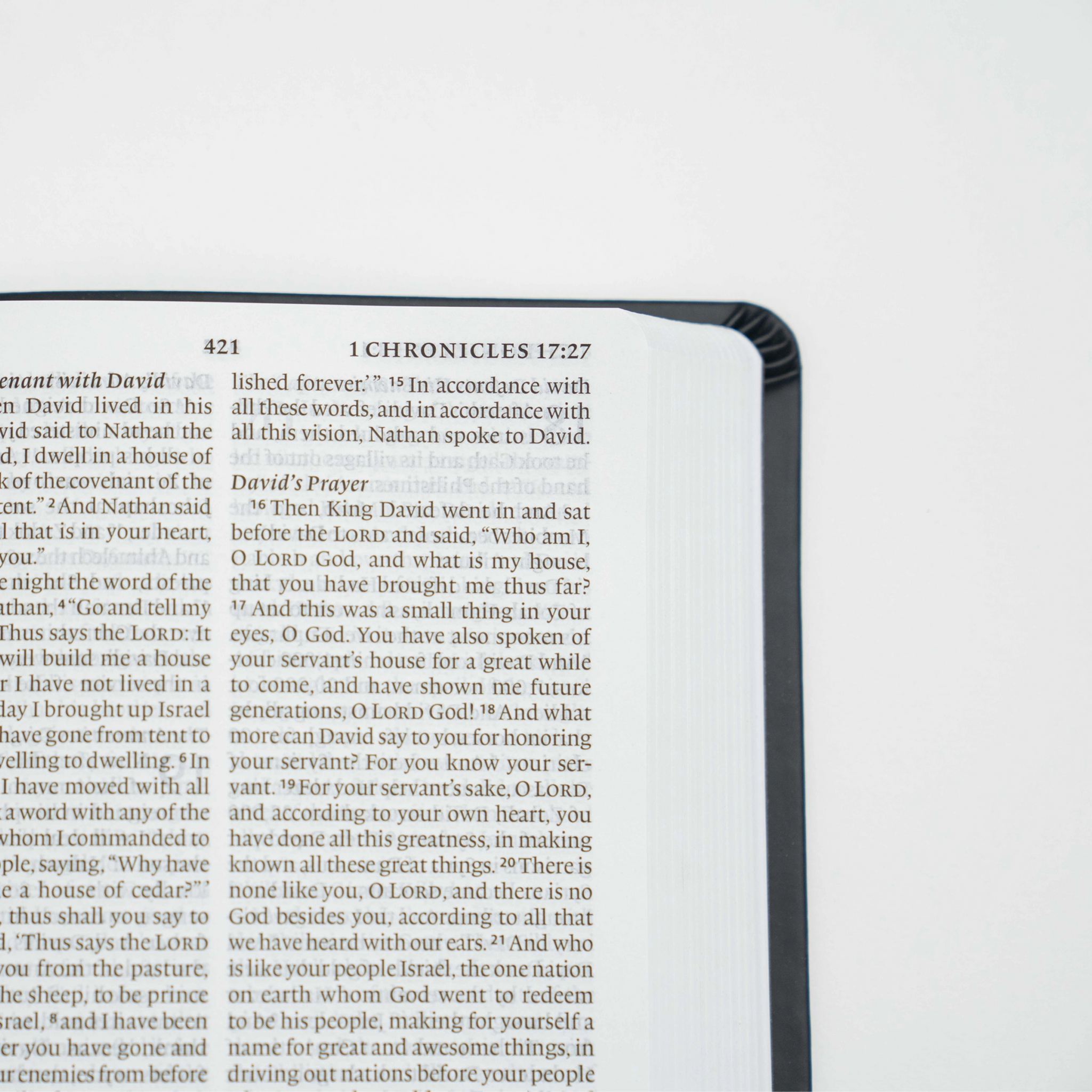 Protestant Bible