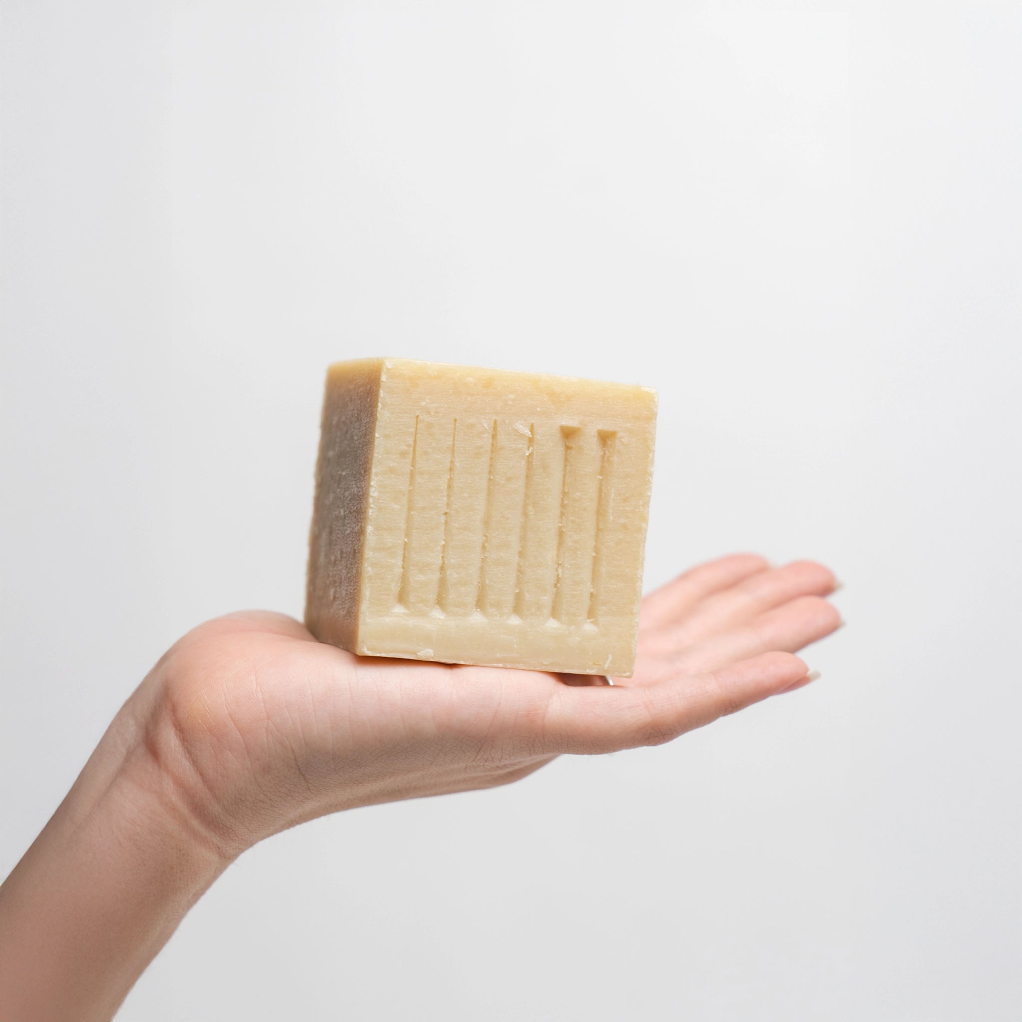 AFH Camel Soap