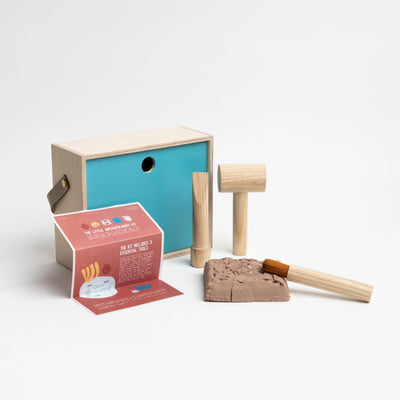 AAM Archeology Kit