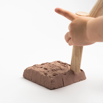 AAM Archeology Kit