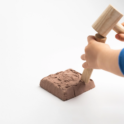 AAM Archeology Kit