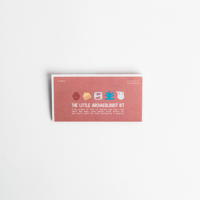 AAM Archeology Kit