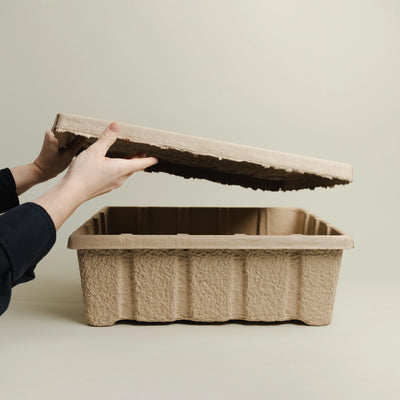 Pulp Box