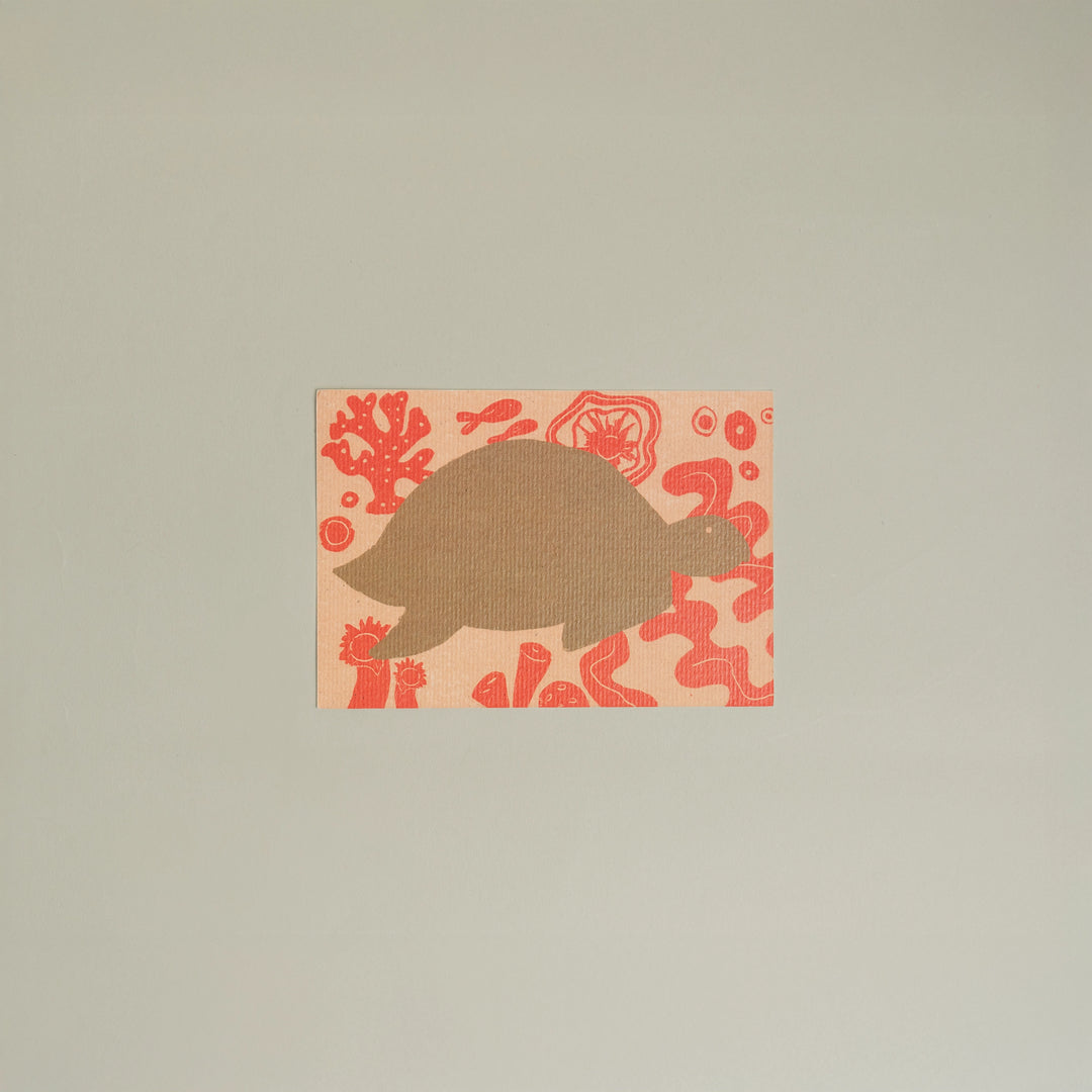 Animals Postcards by Fabrica