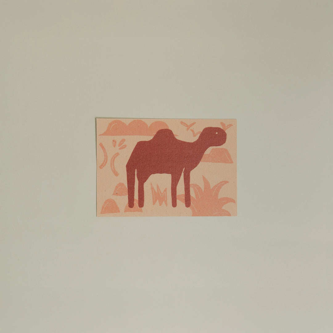 Animals Postcards by Fabrica