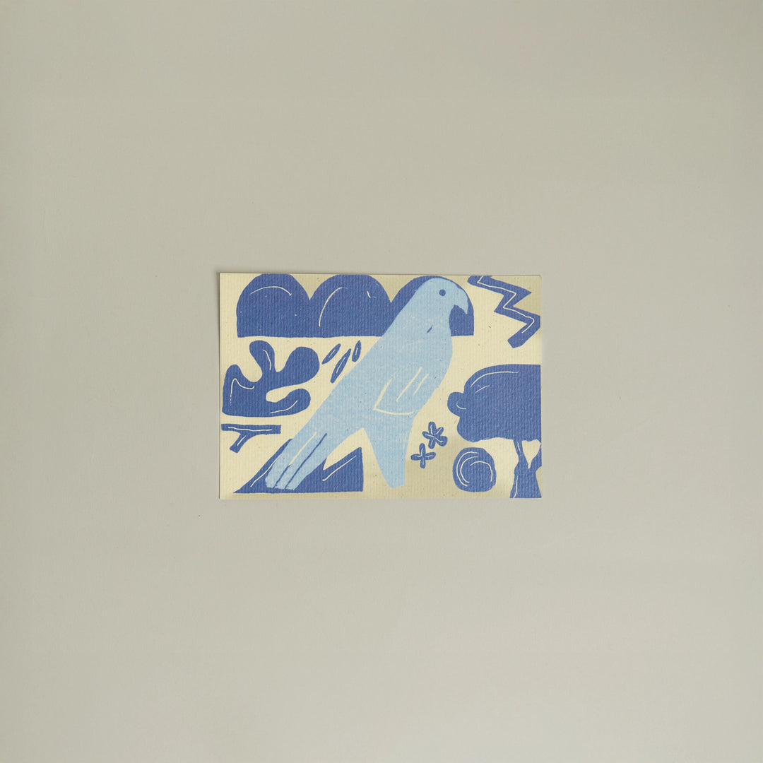 Animals Postcards by Fabrica