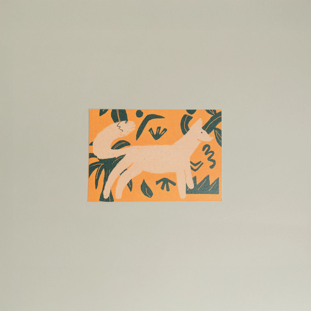 Animals Postcards by Fabrica