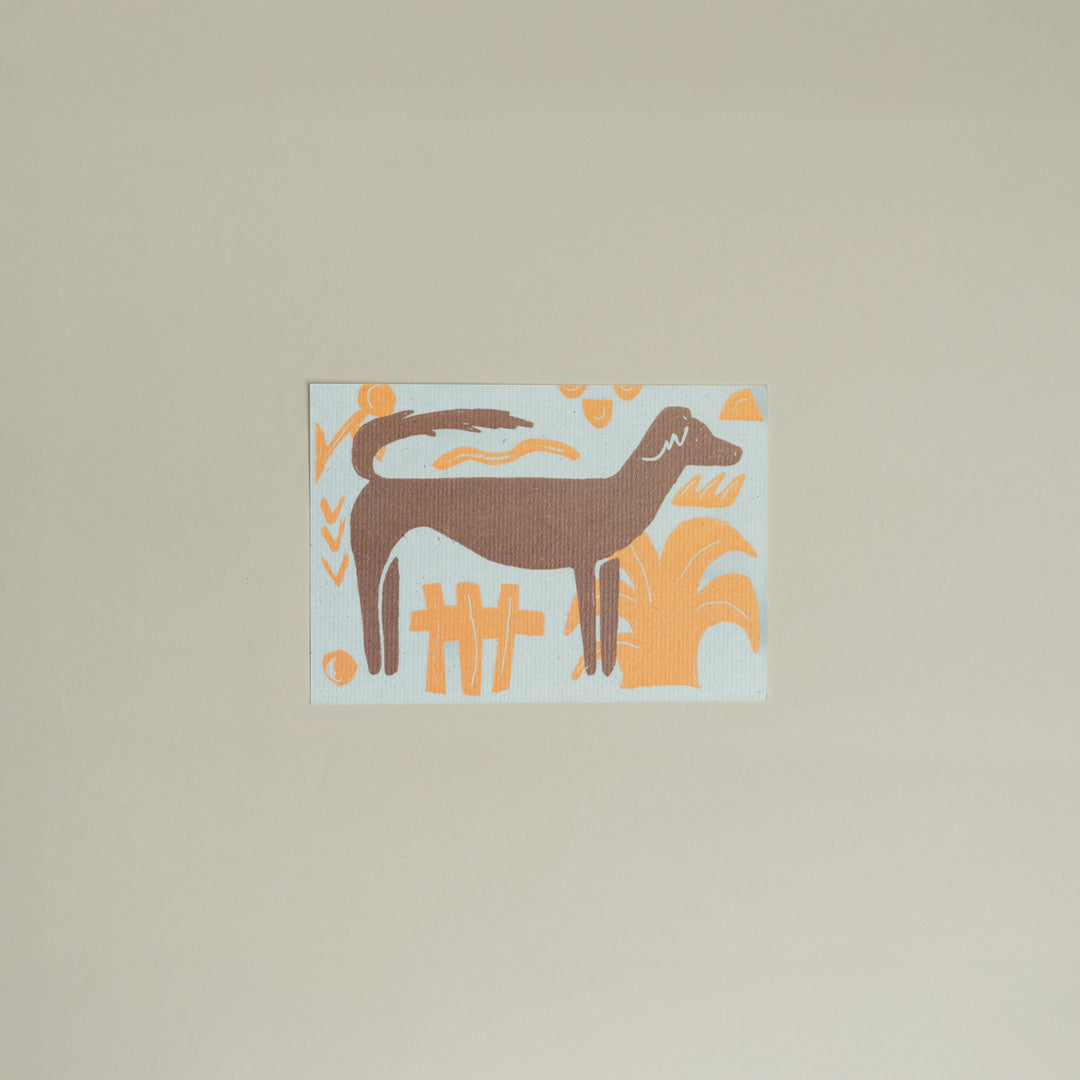 Animals Postcards by Fabrica