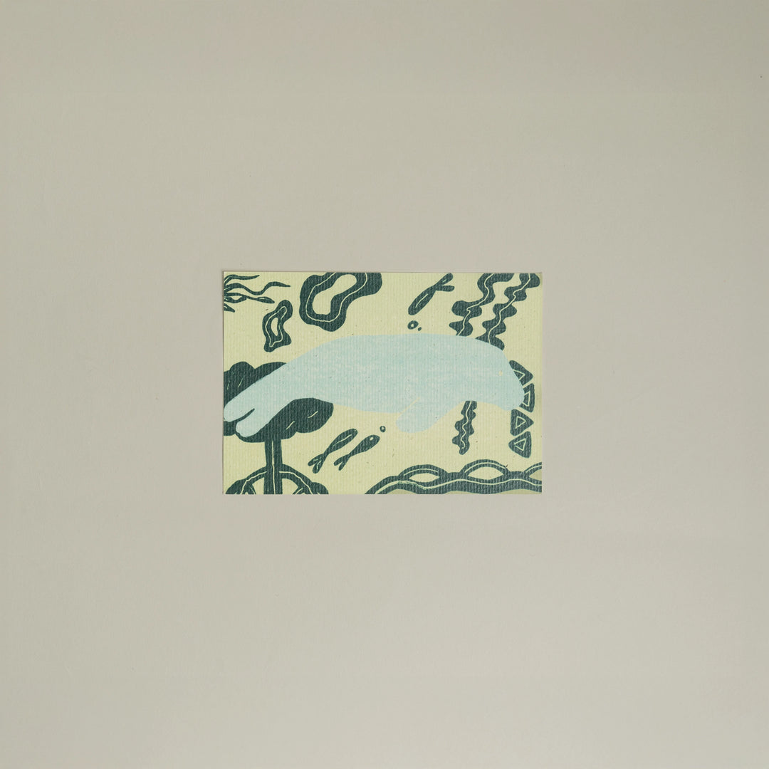 Animals Postcards by Fabrica