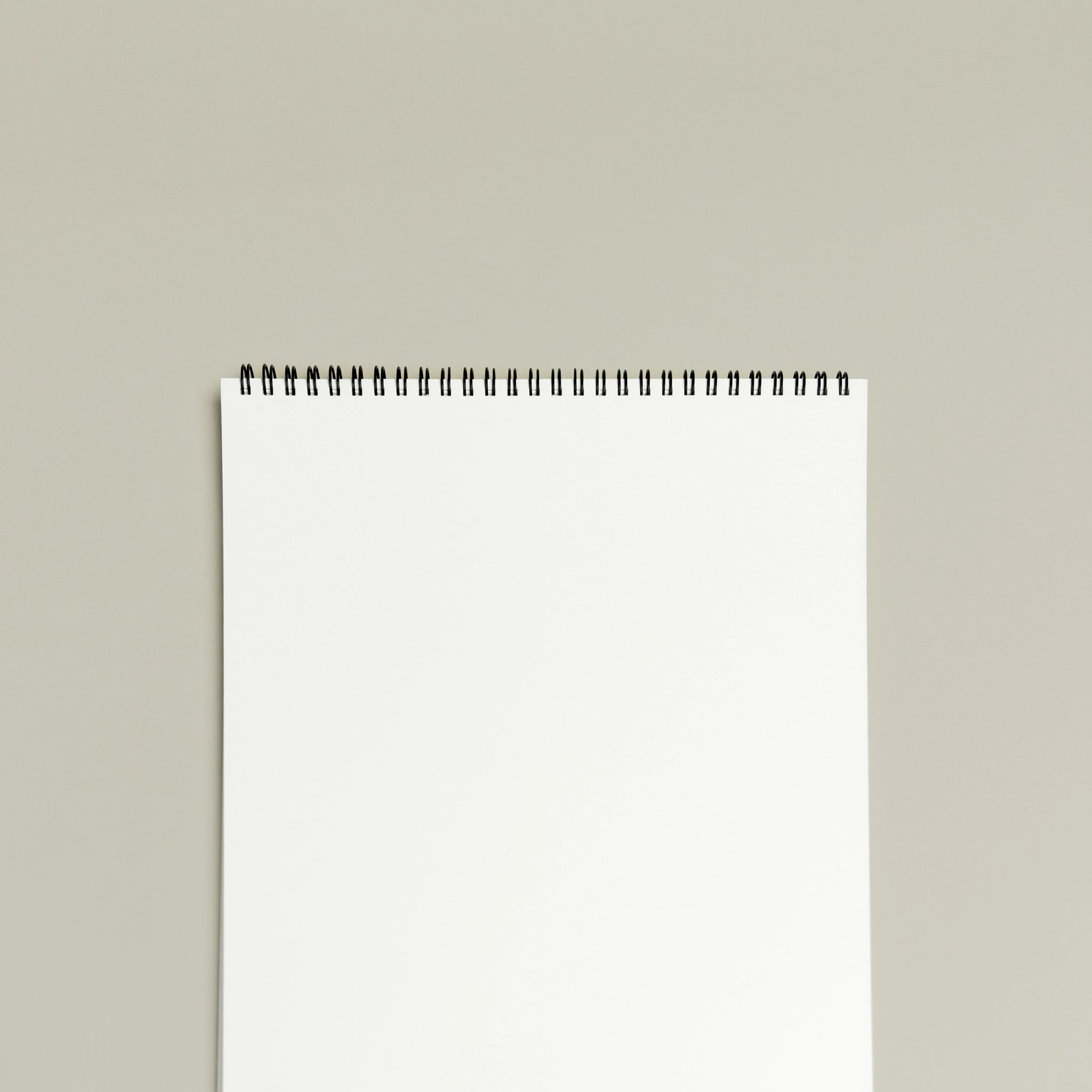 Doona's L Sketchbook