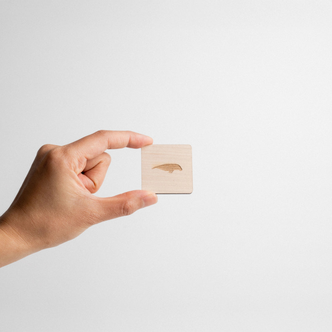 Wood Magnet by Fabrica