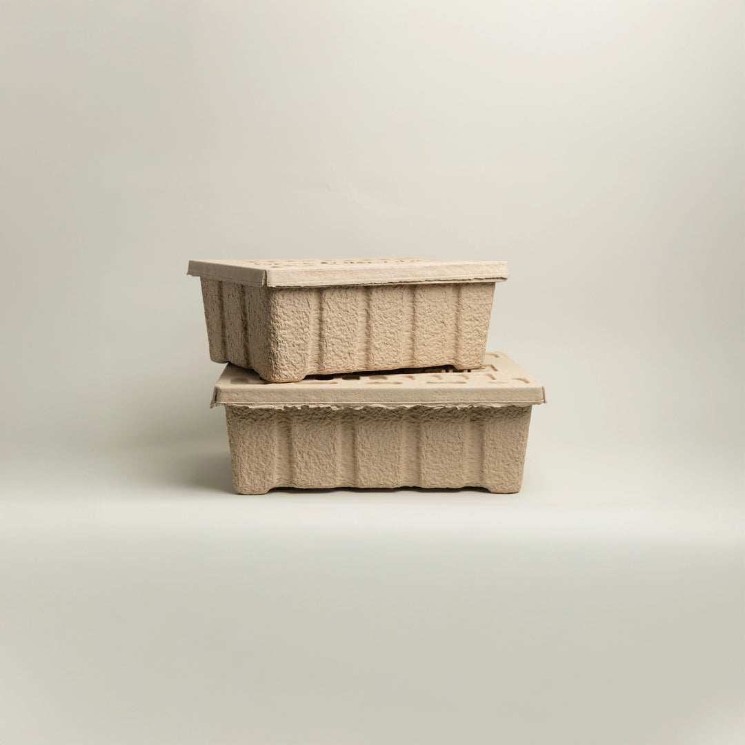 Pulp Box by Hightide