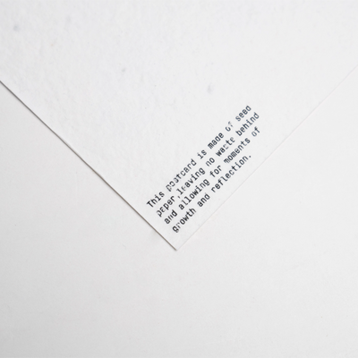 Seed Paper Postcard